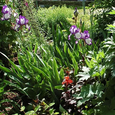 Vilsalp 아파트 탄하임