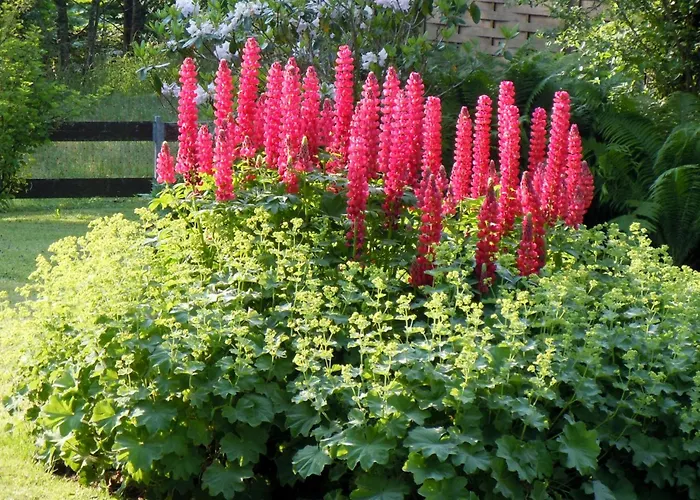 Vilsalp Apartamento *