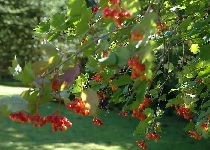 Apartamento Vilsalp *